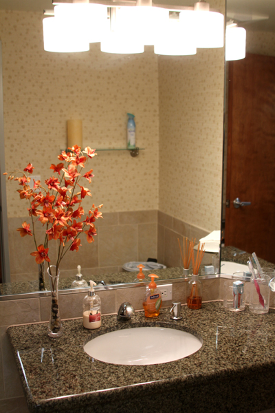 Patient Restroom at Robert J. Malone DDS